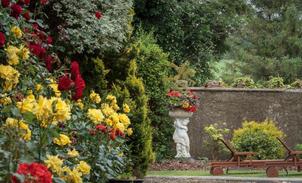 Glasha Farmhouse Ballymacarbry Exterior foto